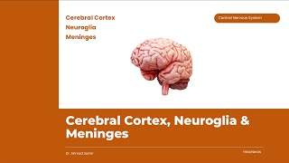 Histology of the Cerebral Cortex and Neuroglia [upl. by Gokey]