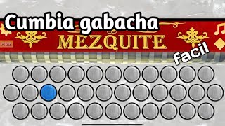 Cumbia Gabacha  tutorial Fácil Acordeón Mezquite app📱 [upl. by Snevets849]