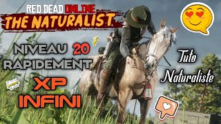 Max de XP rapidement dans le rôle NATURALISTE  RED DEAD ONLINE TUTORIAL [upl. by Tabbi]