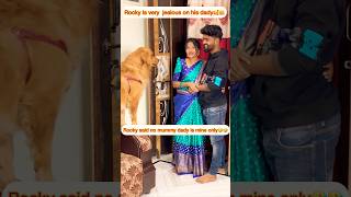 Jealous guy🤣🤣 petlovers doglover dogs doglove love viral youtubeshorts trending vlogs [upl. by Simson962]