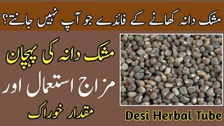 musk dana  mushak dana  mushk dana  ambrette seed  ambrette seed in hindi  musk dana ke fayde [upl. by Ferretti646]