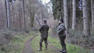 Shooting Pheasant amp Partridge in Dorset 2019Filmed in HD 1080p [upl. by Elleiand]