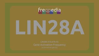 LIN28A stem cell renewal Gene Activation Frequency [upl. by Joanna]