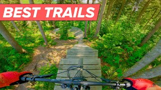 BEST MTB TRAIL IN THE WORLD 3 🌍💯 [upl. by Rothenberg]