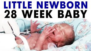 Little newborn premature 28 weeks baby 7 month baby [upl. by Sinned]