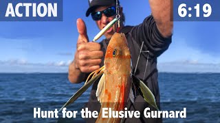 Hunt for the Elusive Gurnard Sea Robin [upl. by Acired]