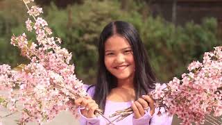 cherry blossom 🌸 Ngan ïaid khlem maphi cover [upl. by Neirad]