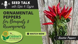 Seed Talk 32  Ornamental Peppers for Bouquets amp Arrangements [upl. by Heigho]