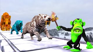 3 Zombie Tiger Run Away From Funny Monkey turn into Zombie Monkey vs Woolly Mammoth Temple Run Maze [upl. by Madda]