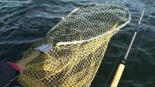 Dalsland Fishing  Salmonfishing in autumn on lake Vänern Sweden [upl. by Landy269]