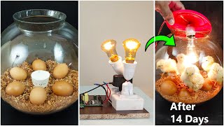 How to hatch eggs at home without incubator  Amazing eggs hatching without incubator [upl. by Eekorehc612]