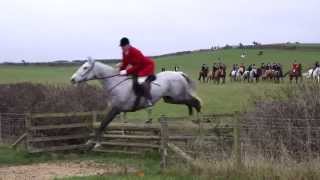 Cottesmore and Quorn Hunts Somerby 17 Nov 15 [upl. by Aniehs]