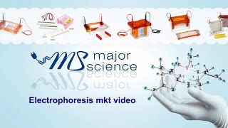 Major Science Electrophoresis Marketing video [upl. by Berky]