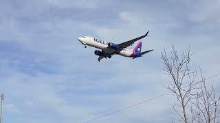 Icelandair Boeing 7378Max Landing Gatwick Airport 25112024 [upl. by Melinde552]