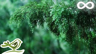 Rainy Day • Relaxing Piano Music with Soft Rain Sounds  Sleep Study Relax [upl. by Htehpaj]