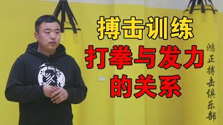 打拳与发力的关系，相互作用力和动力的配合 [upl. by Aerdnuahs]