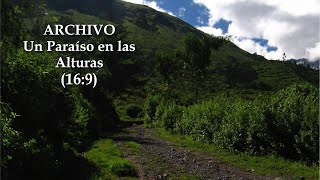 ARCHIVO  Un Paraíso en las Alturas 169  Fauna Andina documental perú misterios naturaleza [upl. by Ahcsrop]