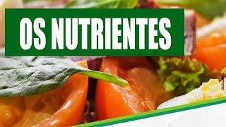 Nutrientes o que são tipos funções e exemplos [upl. by Averell]