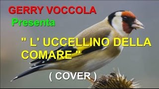 L UCCELLINO DELLA COMARE Cover Gerry  Tony Di Marti [upl. by Assirialc]