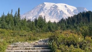 Hiking Mount Rainier Skyline Loop [upl. by Cung]