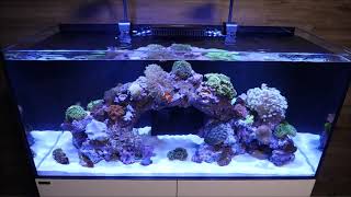 Aquarium Marine X WATERBOX [upl. by Euf]