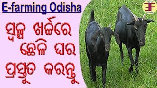 Goat Farming in Odisha part2 ସ୍ୱଳ୍ପ ଖର୍ଚ୍ଚରେ ଛେଳି ଘର ପ୍ରସ୍ତୁତି । [upl. by Germayne]