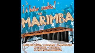 Marimba Flor De Playas  Repícame el Timbal [upl. by Andrew]