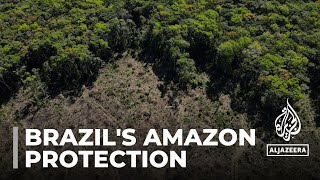 Brazil’s Amazon deforestation drops sharply in first half of 2023 [upl. by Ydnab]