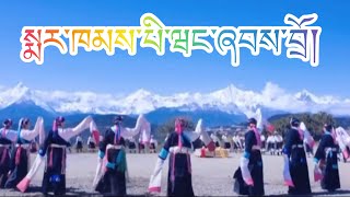 Tibetan Markham songdance སྨར་ཁམས་པི་ཝང་བྲོ་ར། tibetangorshey gorshey lhakargorshey tibetan [upl. by Klingel]