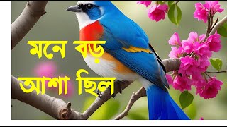 new ghazal islamic song nobir sane ghazal mone boro asa chilo।।মনে বড় আশা ছিল [upl. by Chapman]