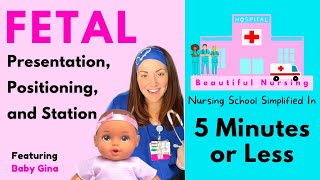 ✅ Fetal Positions Presentation amp Station ✅ Explained in 5 Minutes or Less [upl. by Clotilda]