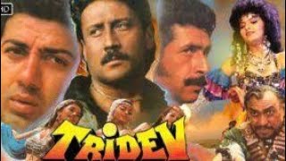 Tridev Full Movie In Hindi  Sunny Deol  Madhuri Dixit  Naseeruddin Shah  Jackie  Facts amp Review [upl. by Illac]