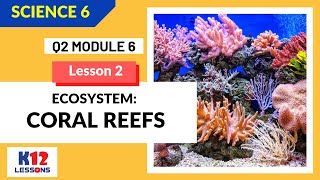 All about Coral and Coral Reefs  In Depth  Drishti IAS English [upl. by Loni936]