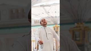 Wo Hai Sabse Pyara Nabi  Danish and Dawar danishdawar naatstatus naat shorts islamic [upl. by Yorgerg947]