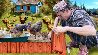 Utilize discarded bricks to build a great chicken coop [upl. by Colleen85]