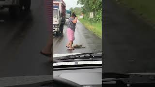 Helping a sloth cross the road in costarica southamerica sloth animals humans tropical [upl. by Akiwak696]