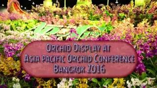 Orchid Show Bangkok Thailand 2016 [upl. by Carlstrom273]