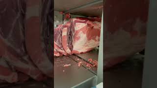 meat shredding machine short [upl. by Ditter]