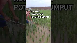 MODIFIKASI MESIN POTONG RUMPUT UNTUK MEMBASMI GULMA DI SAWAHshortvideoalatpembersihmodifikasialat [upl. by Wakefield]