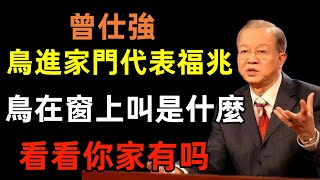 鳥進家門代表福兆？鳥在窗上叫代表什麼呢？蜻蜓鴿子飛進家可以驅趕嗎？曾仕強民間俗語中國文化國學國學智慧佛學知識人生感悟人生哲理佛教故事 [upl. by Quiteria]