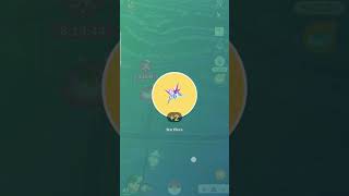 Won November 2024 Biggest Budew Showcase pokemongo pokemongoshort [upl. by Goren]