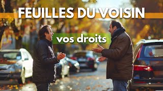 Feuilles du voisin  vos droits [upl. by Sirraj]