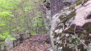 Beautiful Cliffs in Salyersville Kentucky [upl. by Dallis436]