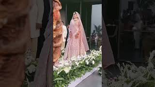 wedding lehenga indianwedding new song ❤️ [upl. by Kcirddes]