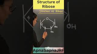 Ribose Structure  apnasapnajrf Shorts [upl. by Kiele]