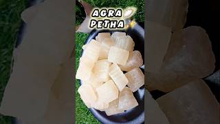 AGRA PETHA RECIPE🥟✨️ Agra Famous PETHA Recipe🌸✨️petha petharecipe agrafaous viralvideo food🥟🌸 [upl. by Christel]