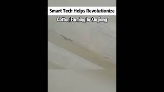 Smart tech helps revolutionize cotton farming in Xinjiangfyp fypシ china tech [upl. by Simon]