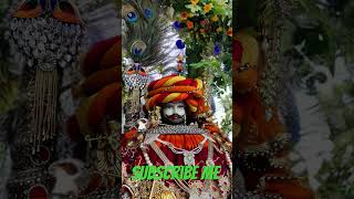 jaishreeshyam viralvideo khatushyM shorts viralshorts shyam baba song trending [upl. by Lessirg]