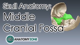 Middle Cranial Fossa  Skull Anatomy [upl. by Ardnoyek]