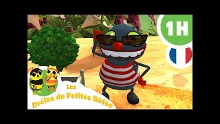 DRÔLES DE PETITES BÊTES  1 Heure  Compilation 04 [upl. by Calesta]